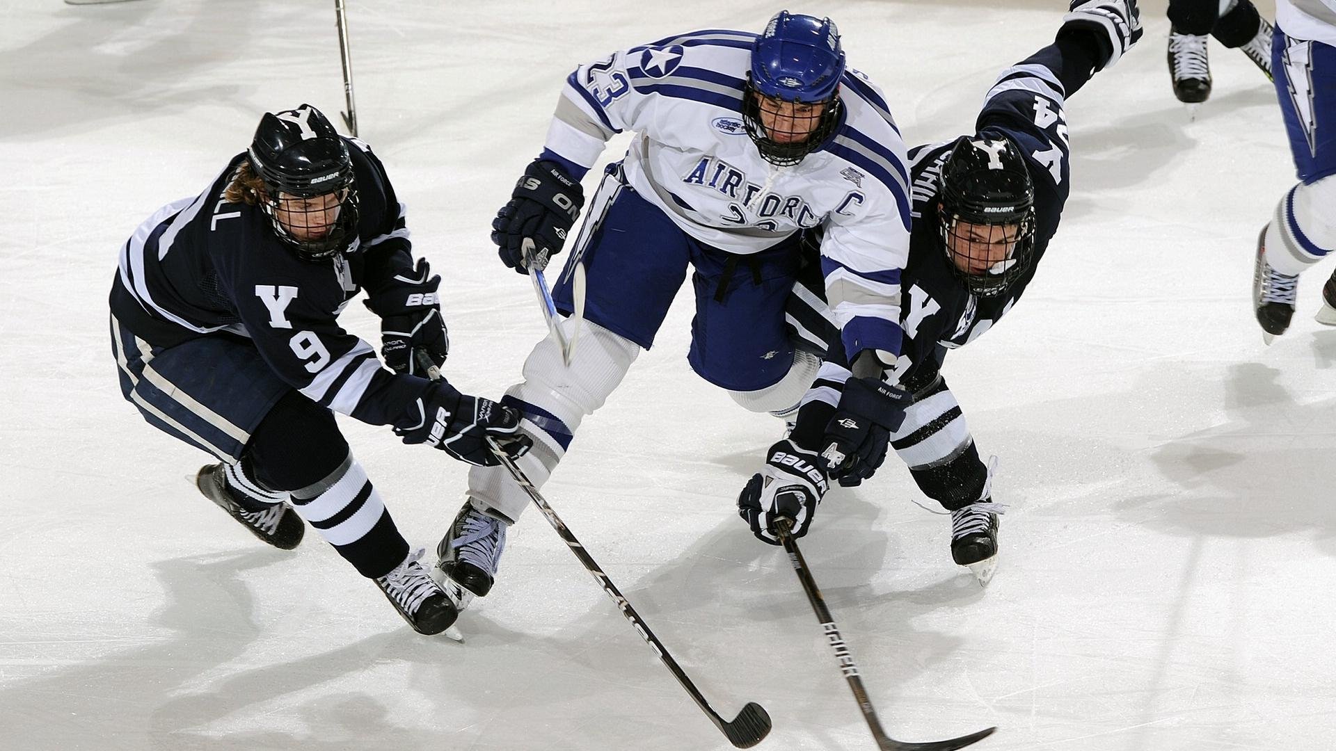 高校体育专业课程体系改革创新,高校体育专业课程体系改革创新研究