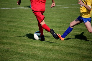 开云kaiyun-中小学篮球教研活动不断创新教学方法提升训练效果，篮球教研活动总结